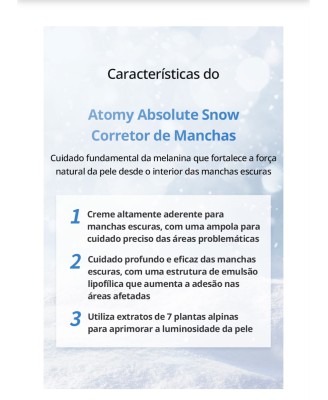 Absolute Snow
